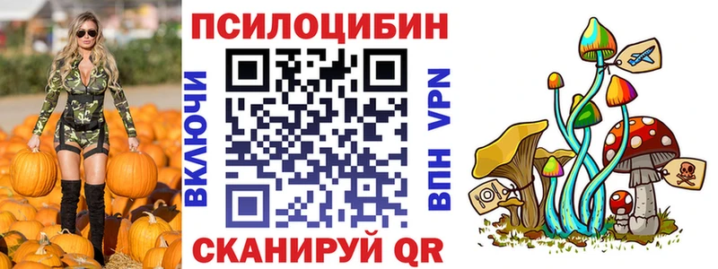 МЕГА ТОР  купить наркотики сайты  Курск  Галлюциногенные грибы прущие грибы 